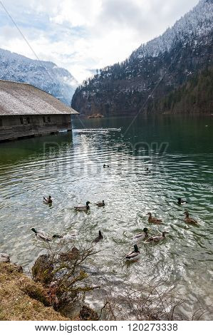 Konigsee lake