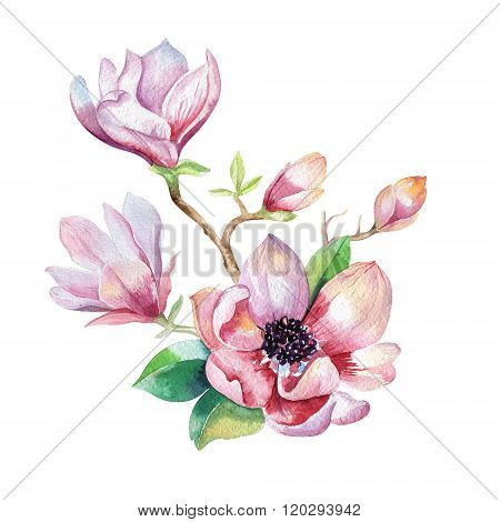 Painting Magnolia flower wallpaper. Hand drawn Watercolor floral