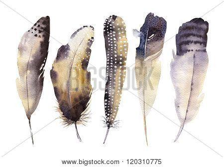 Hand drawn watercolor feather set. Boho style. illustration isol
