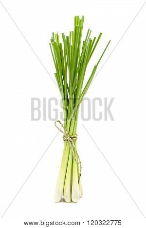 Fresh Lemongrass (citronella) Isolated On White Background, With Clipping Path.
