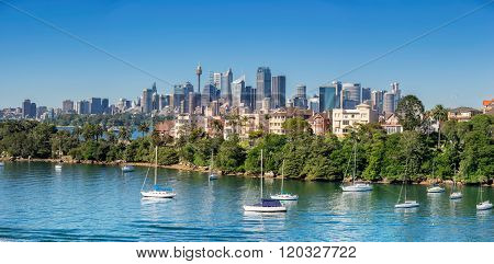 Looking across Cremorne to Sydney central Business District panorama