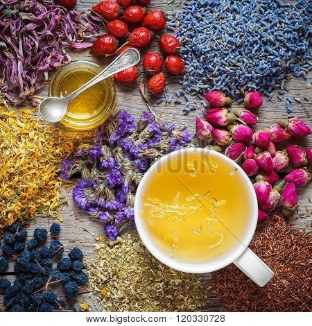 Cup Of Healthy Tea, Honey, Healing Herbs, Herbal Tea Assortment And Berries On Table.