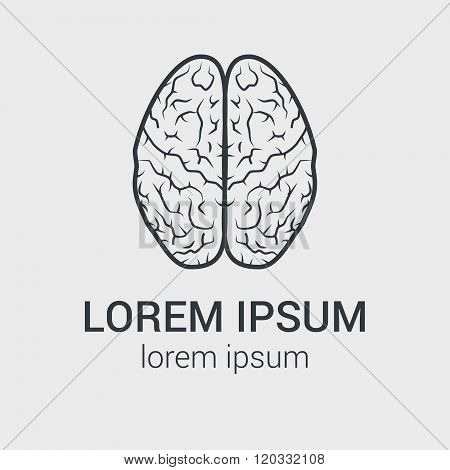 Line vector brain icon on gray background. Single logo with graphic illustration of human brain.