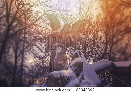 Angel statue illuminated by sunlight. Cemetery during the winter
