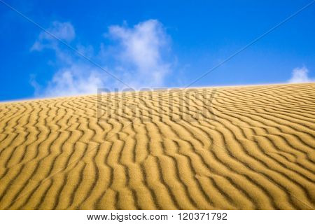 Perfect Sand Dune Ridge With Ripples And Blue Sky