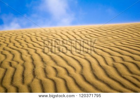 Perfect Sand Dune Ripples
