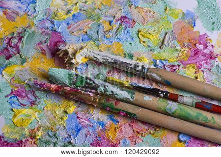 Brush On The Background Of  Paints