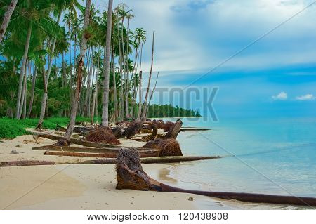 Tropical beach after Tsunami