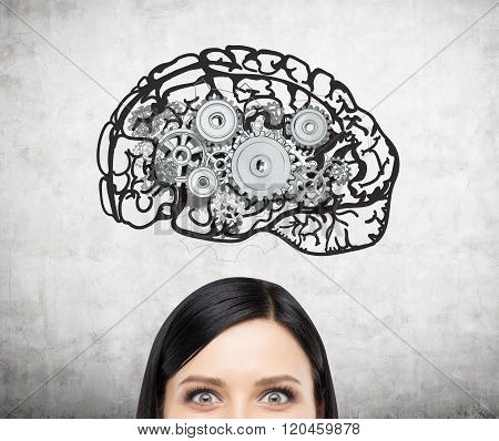 Human Brain