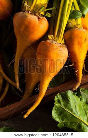Raw Organic Golden Beets