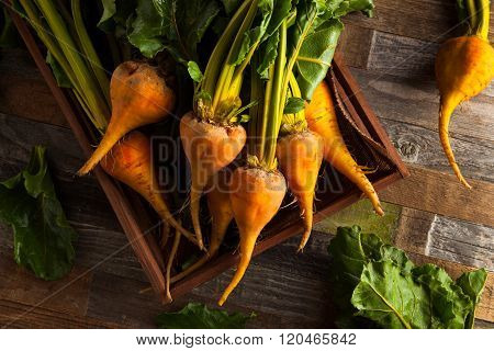 Raw Organic Golden Beets