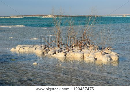 Typical Landscape Of The Dead Sea, Israel