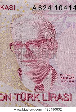 Cahit Arf Portrait