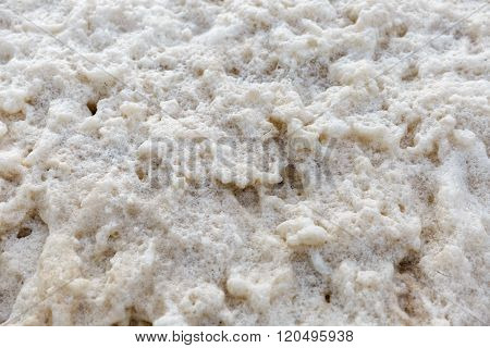Wave Foam At Coastline