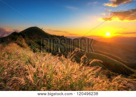 Beautiful mountain at Doi Chang ,Chiang Rai, Thailand.