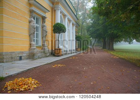 Misty Autumn Morning