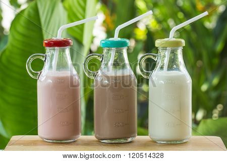 Strawberry chocolate and fresh milk bottles on garden background