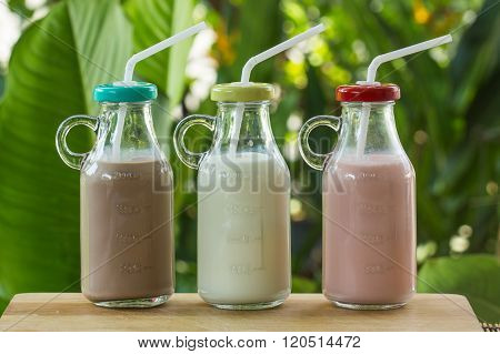 Strawberry chocolate and fresh milk bottles on garden background