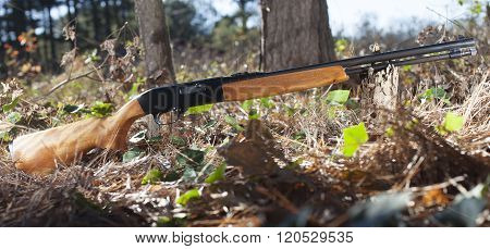 Rifle And Sky