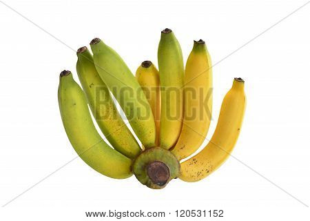 The ripe bananas isolated on white background.