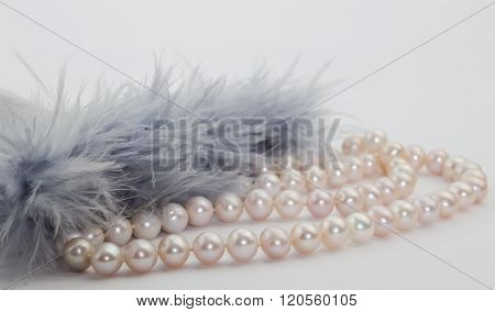 Pink Pearl Strand And Blue Grey Feathers Isolated On White Background