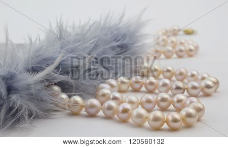 Pearl Necklace With Grey Feathers Isolated On White Background