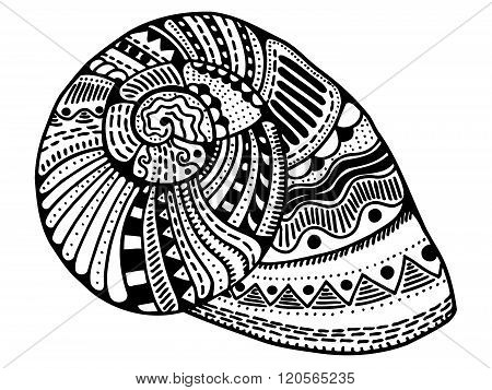 Zentangle Stylized Shell