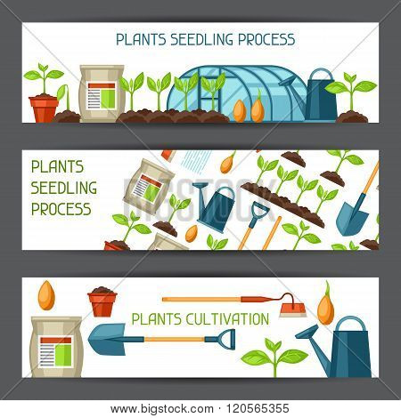 Banners with agriculture objects. Instruments for cultivation, plants seedling process, stage plant