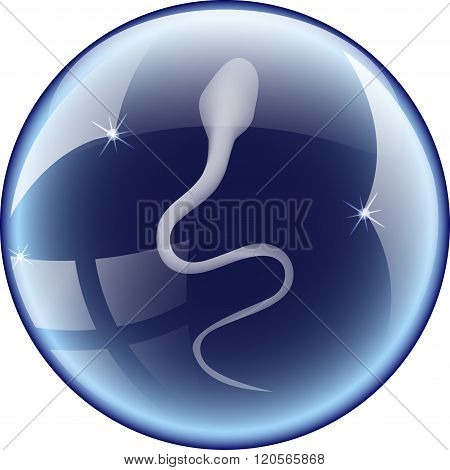 illustrationof the male sex cells sperm fertilization