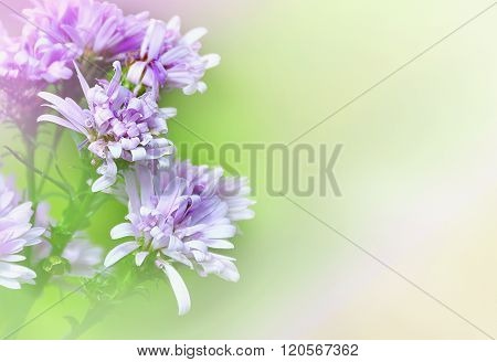 abstract flowers.