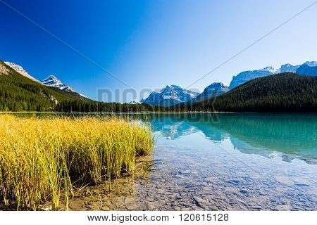 Sunwapta Lake, Jasper National Park In Alberta, Canada