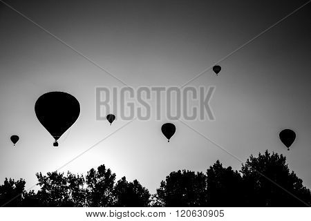 Black And White Image Of Silhouette Of Air Balloons Take Of On The Air Balloon Festival In Agárd, Hu
