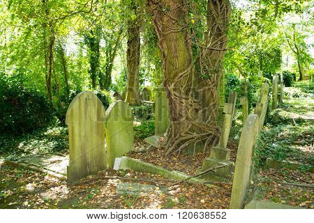 Peaceful view of European style old graveyard