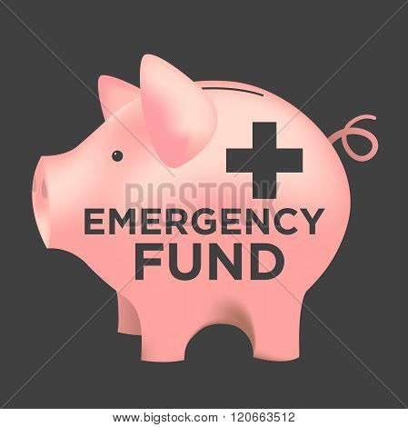 Financial Emergency Fund Piggy Bank