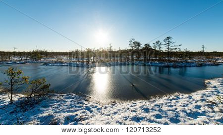 Andscape With The Frozen Plants And The Hoar-frost