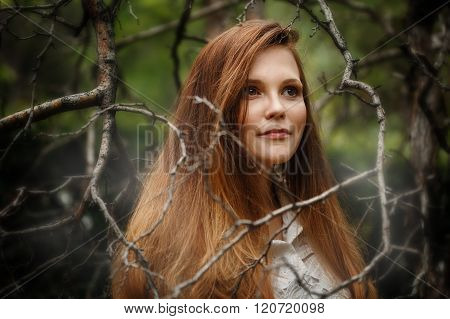 Woman In Dark Forest, Looking Away