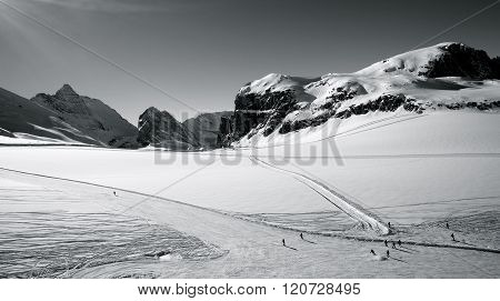 Skiers on the slopes