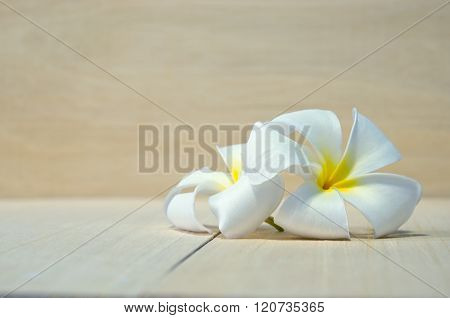 White Plumeria Flower On Wooden Board Background