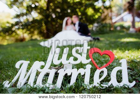 Park Wedding decorations