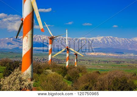 The blossoming Golan heights in a sunny day. Some huge modern windmills. In the distance snow-covered Hermon is seen. Israel