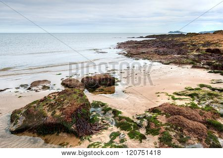 East Coast Of Irish Sea In Malahide, Ireland