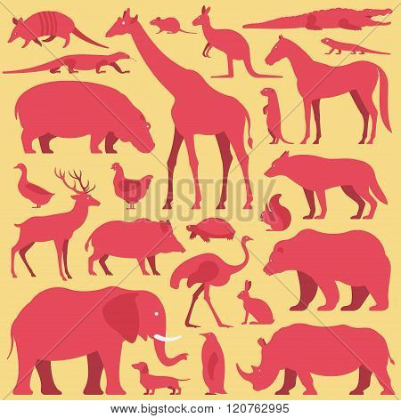 Animals set