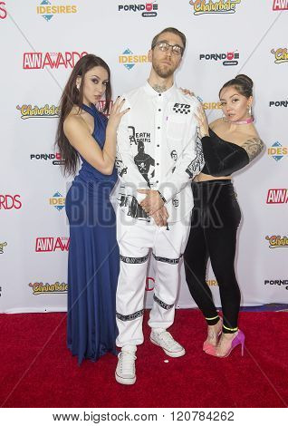 2016 Avn Awards