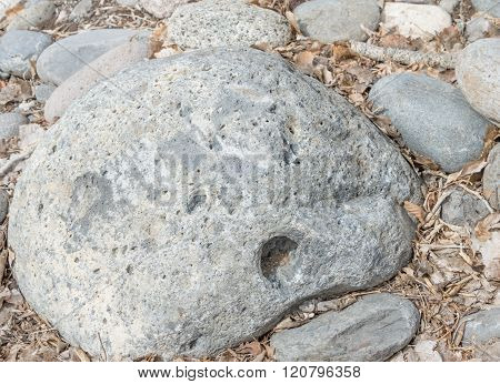 A rock with a face