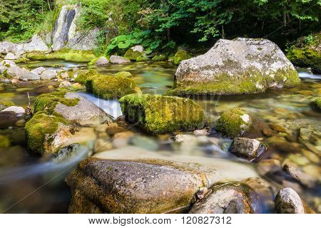 Creek In The Ligurian Alps