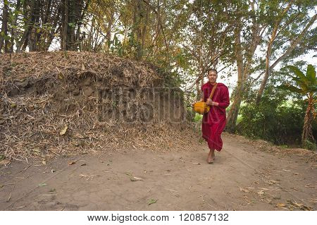 Forest Monk