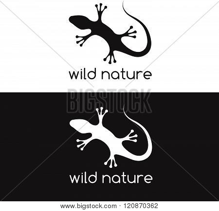 Lizard Vector Design Template . Concept Of Graphic Clipart Work