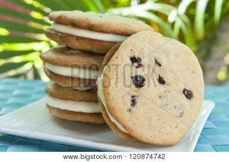 Chocolate Chip Cookie Ice Cream Sandwich