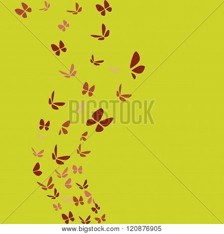 butterflies spring design