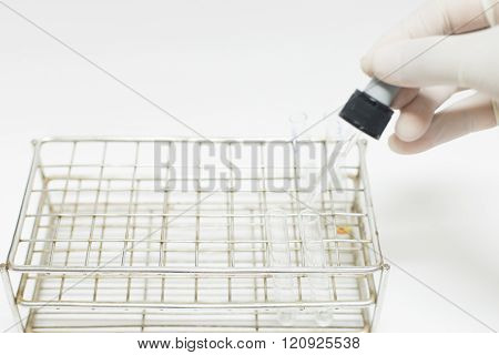 hand scientist work in lab with testube